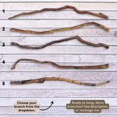 Rama de sauce natural cortada para decoración colgante, 118 cm (46 pulgadas), lista para usar, similar a la madera flotante, perfecta para espacios bohemios y rústicos.